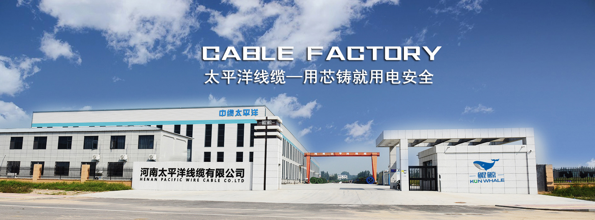 太平洋線纜 太平洋線纜